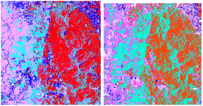 Land cover in the Corsican case study area in 1994 (left) and 2012 (right) based on satellite imagery. The blue areas represent pastures, the red area show deciduous forest and the turquoise area pine forest. A strong decline of pasture area as well as a strong increase of pine forest is observed over time.